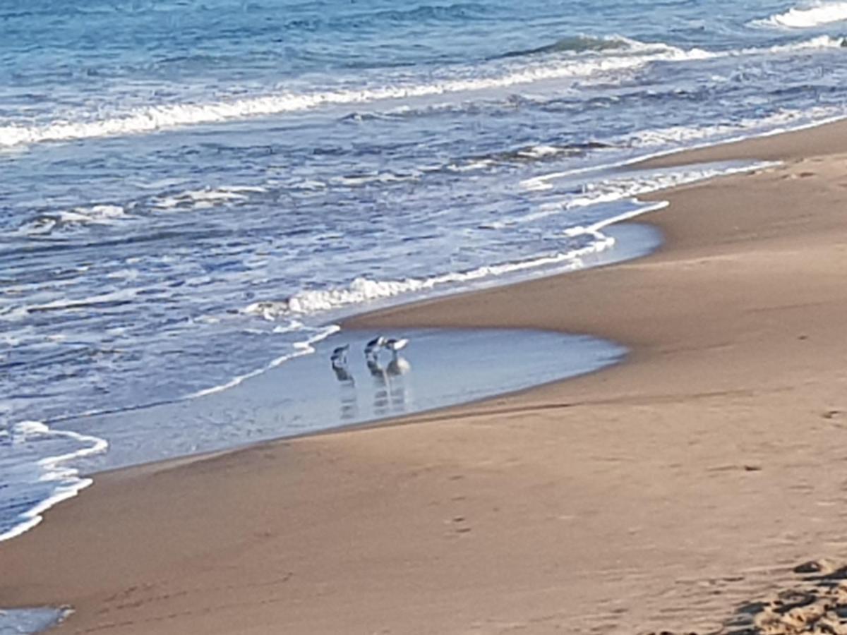 Exclusive Apartment - Playa De Marenys De Rafalcaid 간디아 외부 사진