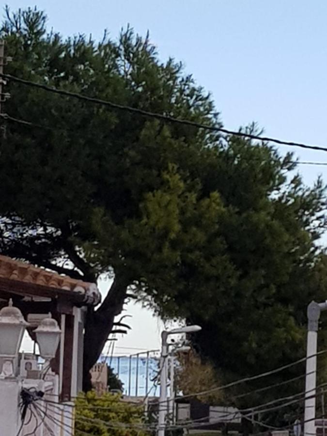 Exclusive Apartment - Playa De Marenys De Rafalcaid 간디아 외부 사진