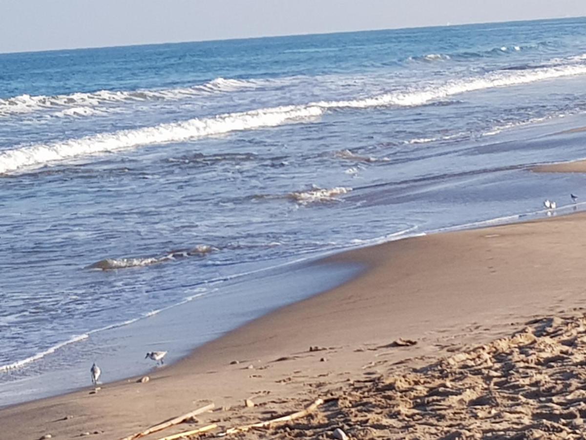 Exclusive Apartment - Playa De Marenys De Rafalcaid 간디아 외부 사진